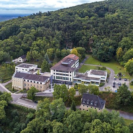 Kloster Neustadt Neustadt an der Weinstraße 외부 사진