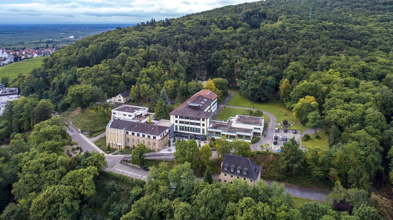 Kloster Neustadt Neustadt an der Weinstraße 외부 사진